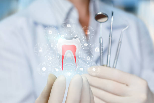 New Johnsonville, TN Holistic Dental Care Services Company